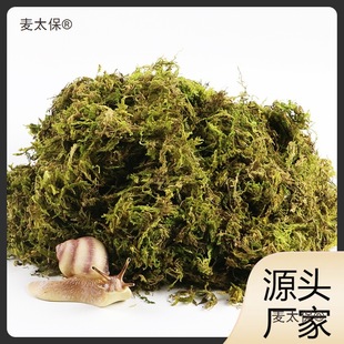 �I�B��������Ҭ������΁ţ�|���}�����x̦�\���������΁ţ��̫��