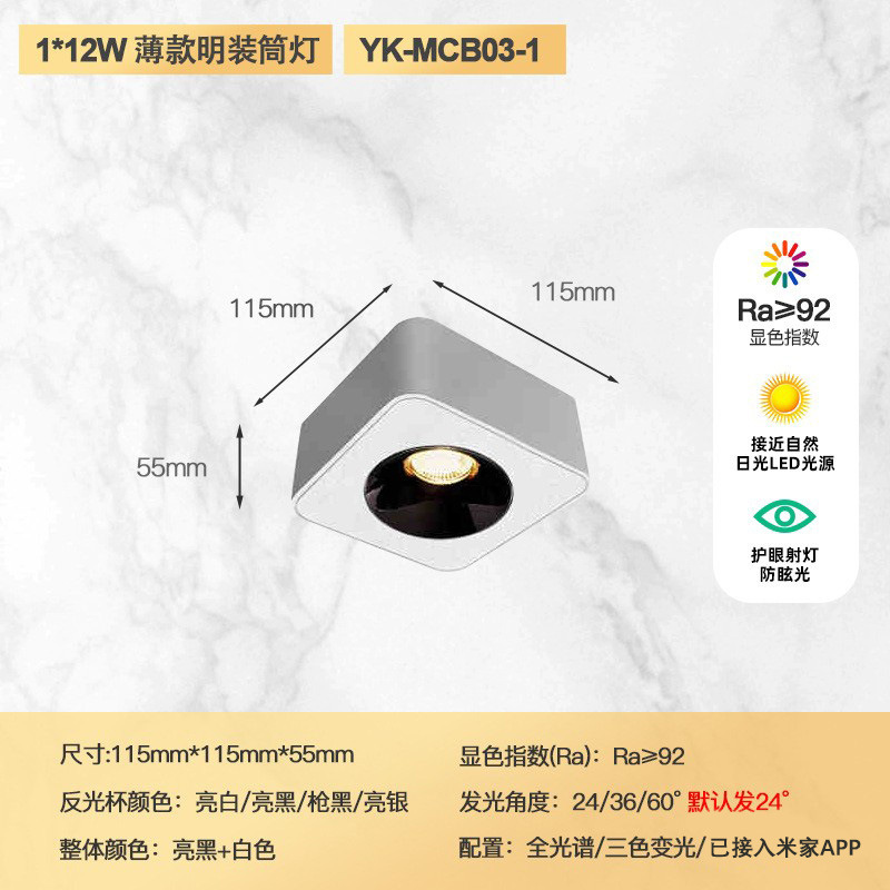 Single head 12w (white shell and black cup)