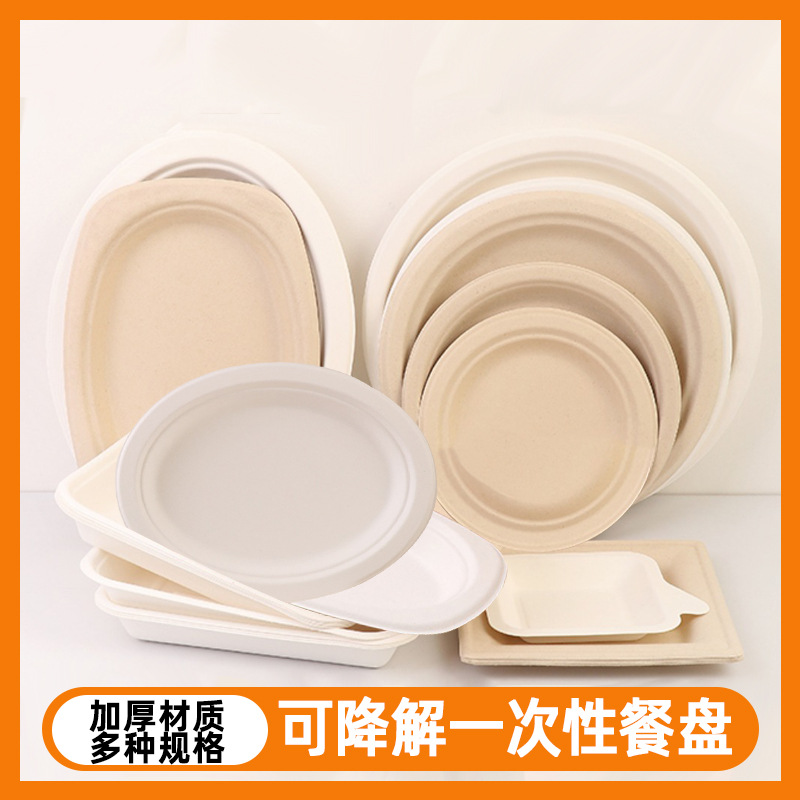 disposable-sugarcane-pulp-paper-plate-eco-friendly-degradable-picnic-barbecue-pizza-diy-art-painting-plate