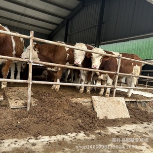 ������ţ������ 5&mdash;7�������T����ţ�r�� ţ�كr�� �Sţ����