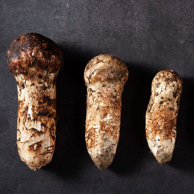 松茸新鮮菌菇7-9CM雲南特産香格裏拉蘑菇500g非西藏