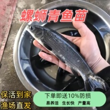 �������~������~��ˮ�Bֳʳ���ݽz��Ҳ��~�ش��������·���~��