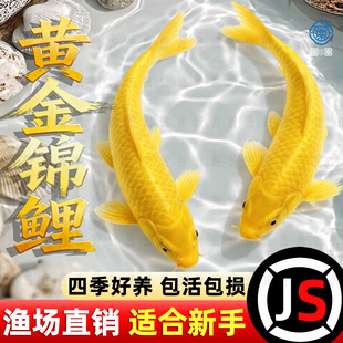 �S���\�����~�^�p�~С���~���B�ͻ��ԁ�ˮ��ˮ��ˮ�ͺ��ݽ��~