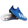 X19-1 FG Royal Blue
