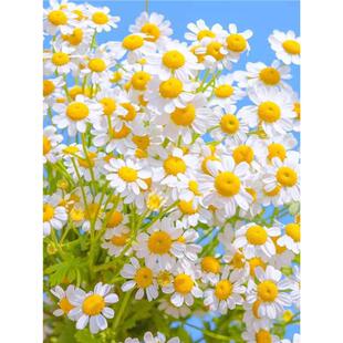 ���N����С�r�շN�_��������̫ꖻ�����ʾջ��N�M����
