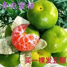 ��Ʒ�N��Ƥ�۽��� ����һ̖��������������� �޽ӟo���۽��Ә���