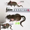 1 large mouse