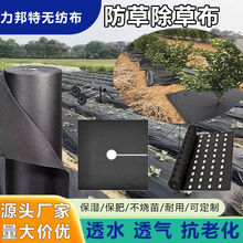 供应无纺布防草布厂家定制地膜除草布农用果树药材茶树盖草遮草布