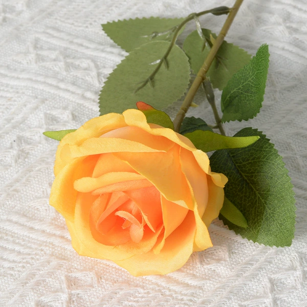 Orange (silk cloth version)