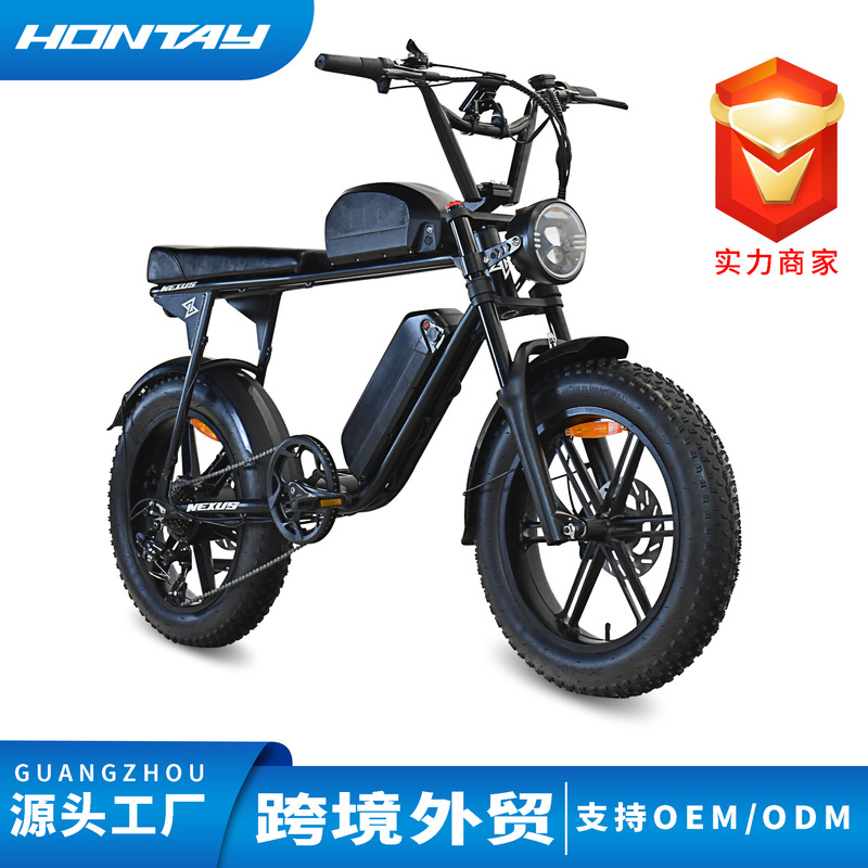 European and American Export Specifically for Fat Tire Electric Vehicles 20inch Retro Off-Road Electric Motorcycles Electric Bicycles Mountain Bikes