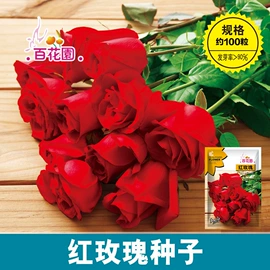 种子;蔬菜种子