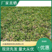 ���ع���  �ļ����G ˮ�� �ͺ�   ����ˮ�|  ���u���ˮ�۲�