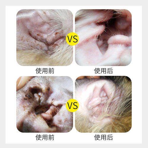 Cross-border ear drops for cats pet earwax cleaning solution for dogs ear cleaning liquid for dogs and cats cat ear washing liquid wholesale