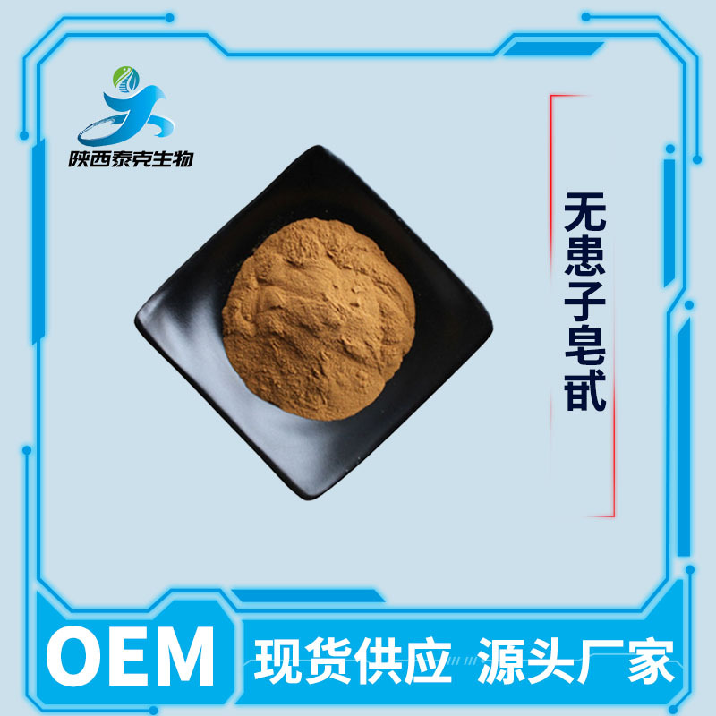 无患子皂甙40% 水溶性洗涤日化原料 另有70%80%量大优惠无患子粉