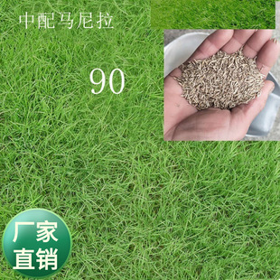 ���l�͜��伾���Ͱ��첥�ļ���ݵ��������ҹ����̵�̺�ݷN��