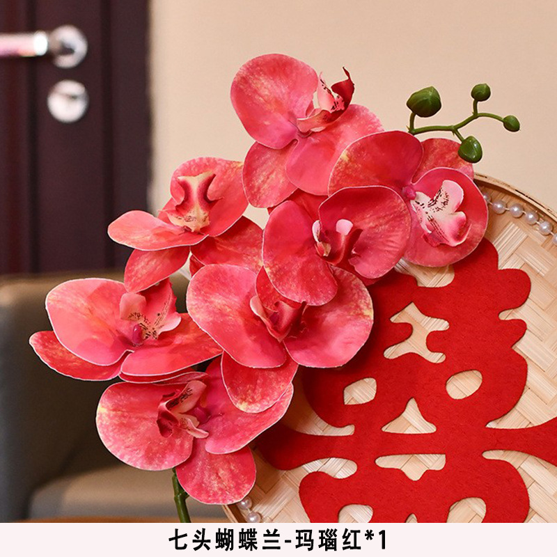 Seven-headed phalaenopsis-agate red