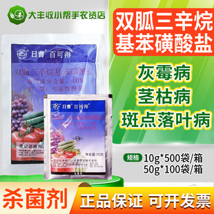 �ղܰٿɵ� 40%�p����������������}�Ϲ��߲˻�ù����Ʒ������