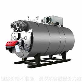 厂家供应真空热水炉 燃气热水锅炉 卧式燃气燃油气热水锅炉