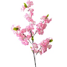 ������֦�D÷�ٽ���ؙј��k���Ļ�����ֲ�����@ˇ�ɻ�