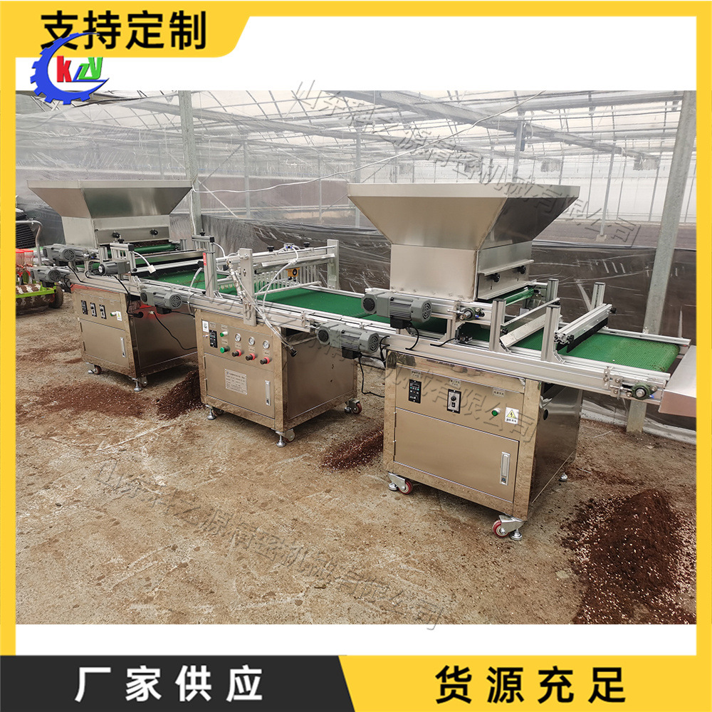 铺土压穴播种一体机 全自动穴盘育苗播种机 农业用种子穴盘育苗机