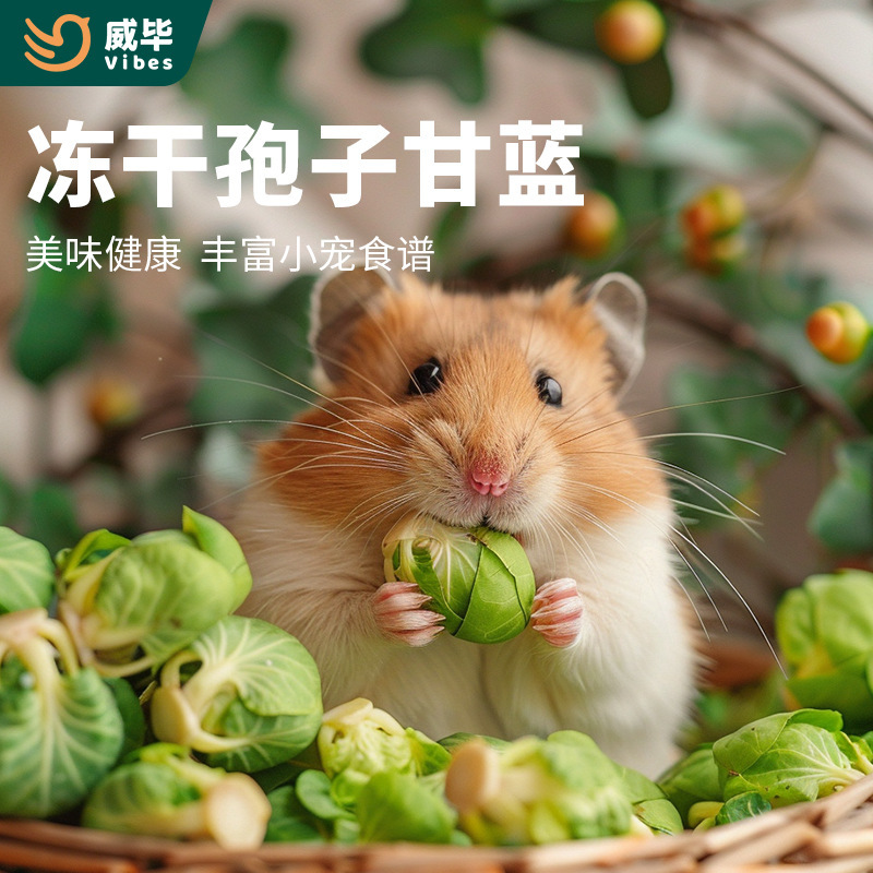 冻干孢子甘蓝仓鼠零食化毛球即食宠物蔬菜干金丝熊兔子荷兰猪饲料