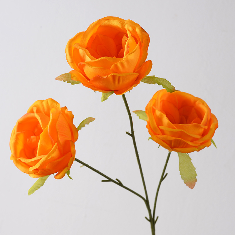 Naranja Austin de 3 cabezas