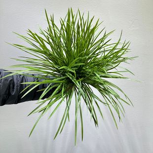 ����Gֲާ�ֲ���ָ�ܛ�z�m���ݟᎧ����΢���^�쾰�՚�������