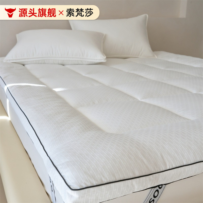 Student Dormitory Mattress Cushion Bedroom Tatami Soft Mattress Thick Mattress Super Soft Mattress Cushion Bottom Wholesale