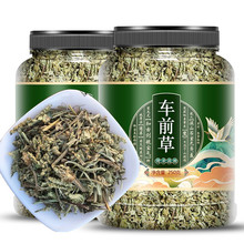 车前草新鲜干货干车前草茶中药材茶包袋泡茶无野生车前子车轮菜