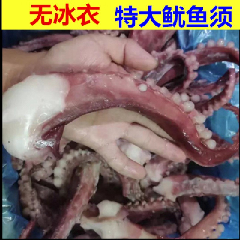 Fresh produce[Squid]fresh Quick-freeze Seafood octopus Small eight Mini octopus Hot Pot Ingredients