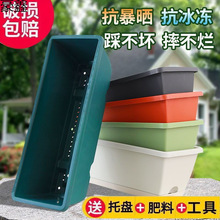 ����ݮ�߲˷Nֲ�������؃r��}����N����������̨�����L����