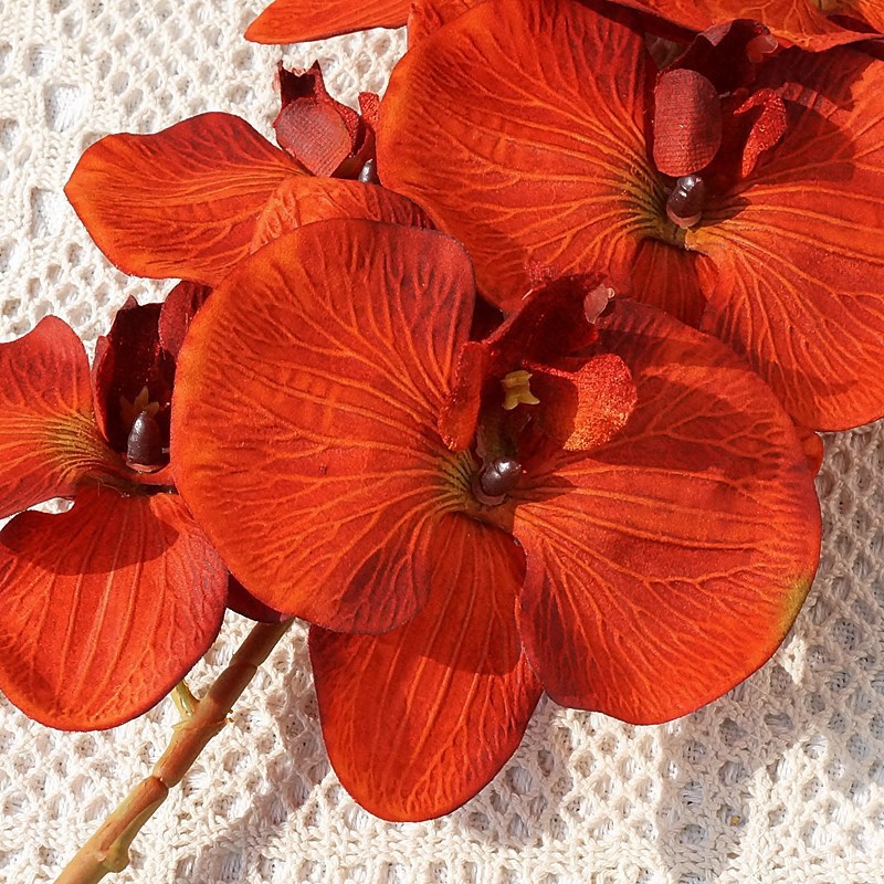 O1CN01uW726d1s540mbTDwk_!!4036