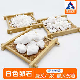 现货供应白石子园林造景用白色鹅卵石垫基白碎石园艺白色鹅卵石子