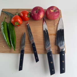 锤纹镜光厨师刀切肉刀水果刀万用刀花钉钢头手柄铸柄ABS刀具套装