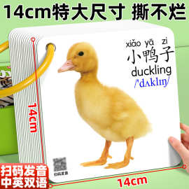 动物卡片早教认知识字看图识物数字启蒙书婴幼儿宝宝一岁益智玩具