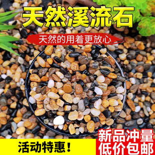 Natural Stream Stone Cobblestone Aquarium Aquarium Water Grass Meat Shop Ground Pebbles Native River Sand Pea Stone Flower Pot