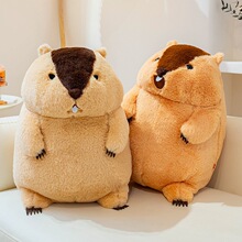 ������������ë�q��ߌ����������̖����˯�X������ż���նY��