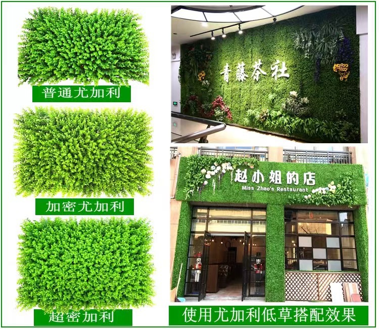 95b560fd4f09527978812f567517b8