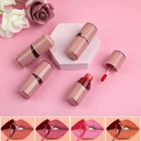 Трансграничная разорванная губная глазурь 4 цвета помады lip tint матовый матовый, прочный цвет фона для губ блеск оптом