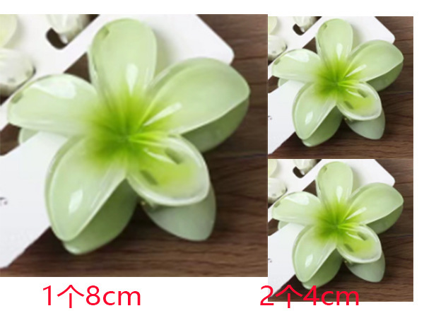 跨境新款鸡蛋花发夹网红花朵抓夹套装发卡女高级感鲨鱼夹发饰批发|undefined
