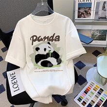 �W��ӡ�����m�������b����2026��؈����t���ɶ���t��Ů��H�����