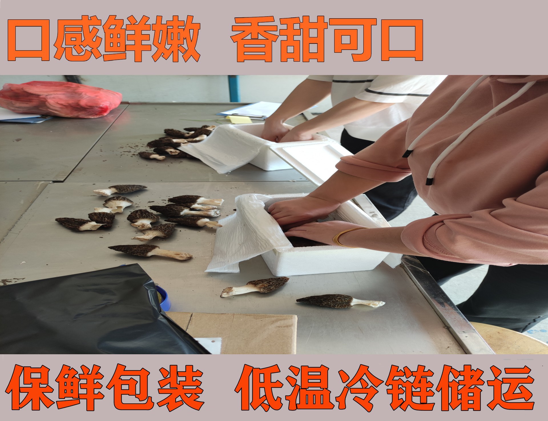 鲜羊肚菌保鲜包装