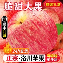 陕西洛川苹果10斤新鲜水果红富士当季整箱礼盒冰糖心脆甜苹果