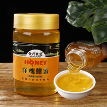 �S�ӹʵ�500gƿ�b���������۷���