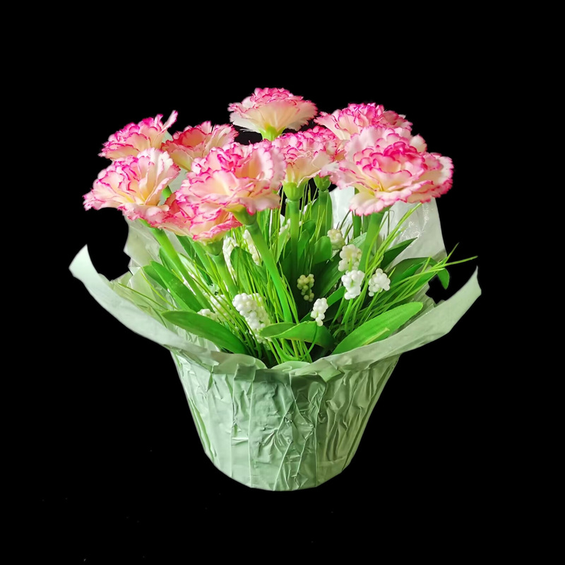 AC6013471CEC98ECCCCB9D6857A7E9