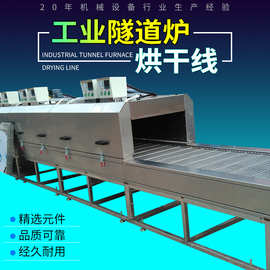 工业隧道炉 烘干隧道炉 道炉烘箱 高温隧道炉