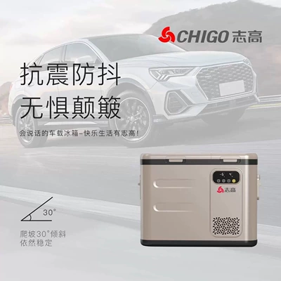 Chigo Car Small Refrigerator, Soyuducular