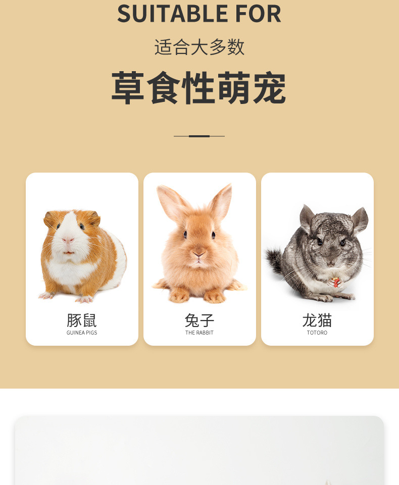 677fac75-480d-4b38-b2d9-11136da412c2.jpe