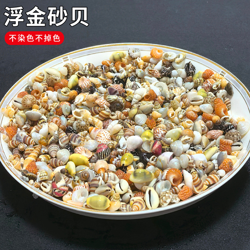 Shells and Conch Shells Sold by the Pound, Mixed Shells with Gold Sand, Handmade DIY Display, Drift Bottle, Fireworks, Hairpin