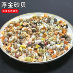 贝壳海螺按斤卖浮金砂贝混装贝沙手工diy摆台制作漂流瓶